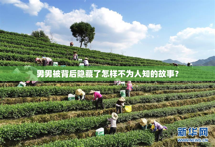 男男被背后隐藏了怎样不为人知的故事？