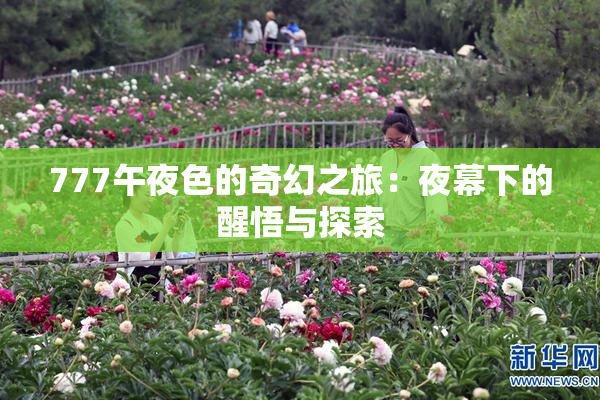 777午夜色的奇幻之旅：夜幕下的醒悟与探索