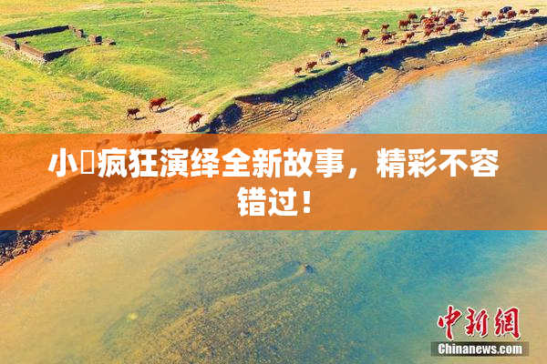 小泬疯狂演绎全新故事，精彩不容错过！