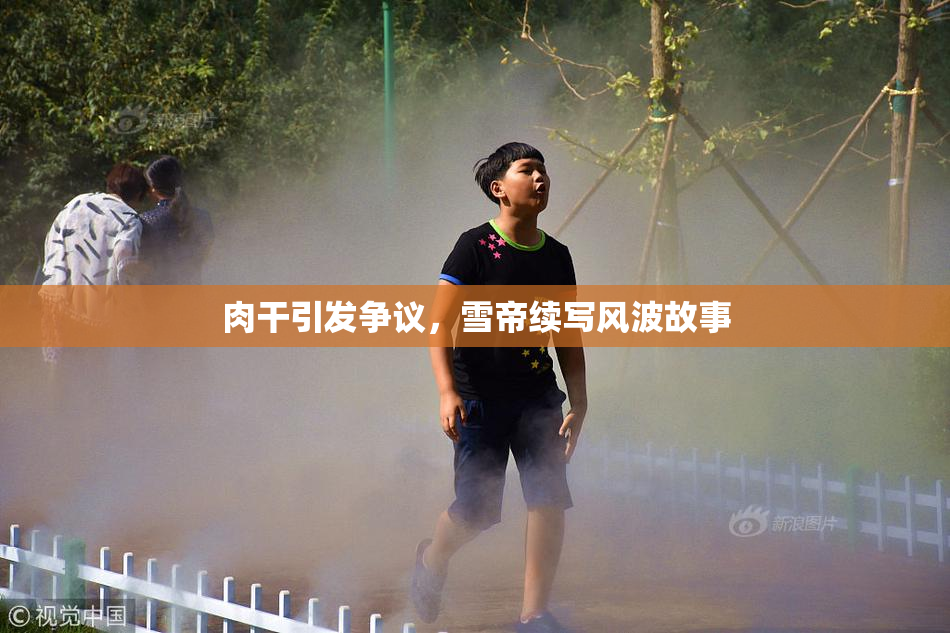 肉干引发争议，雪帝续写风波故事