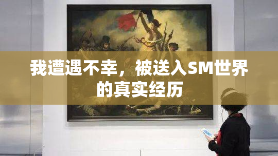 我遭遇不幸，被送入SM世界的真实经历