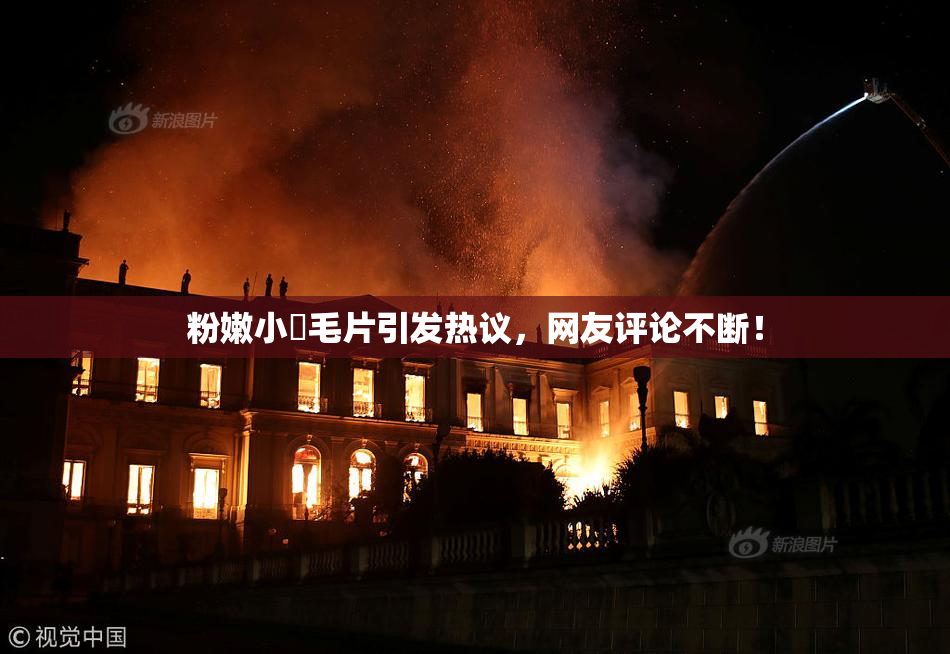 粉嫩小泬毛片引发热议，网友评论不断！