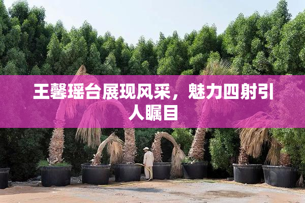 王馨瑶台展现风采，魅力四射引人瞩目