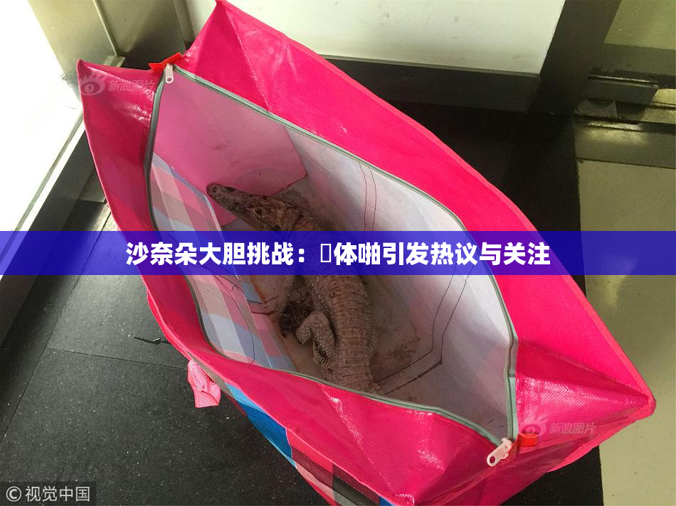 沙奈朵大胆挑战：祼体啪引发热议与关注