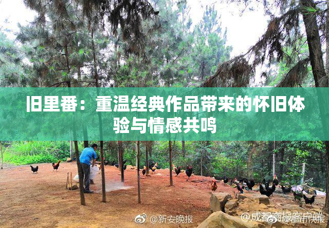 旧里番：重温经典作品带来的怀旧体验与情感共鸣