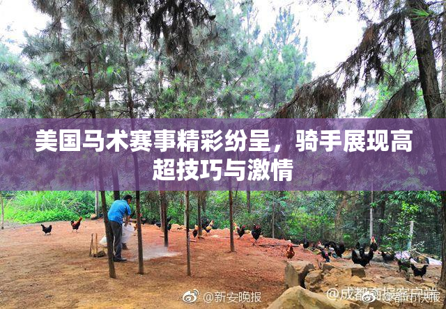 美国马术赛事精彩纷呈，骑手展现高超技巧与激情