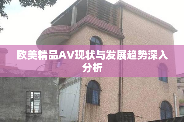 欧美精品AV现状与发展趋势深入分析