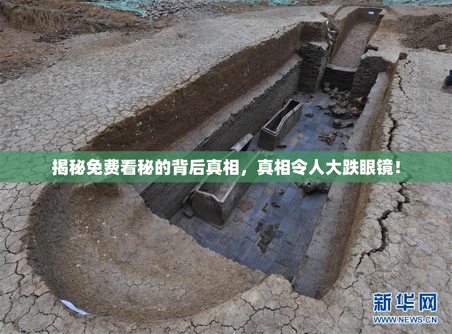 揭秘免费看秘的背后真相，真相令人大跌眼镜！