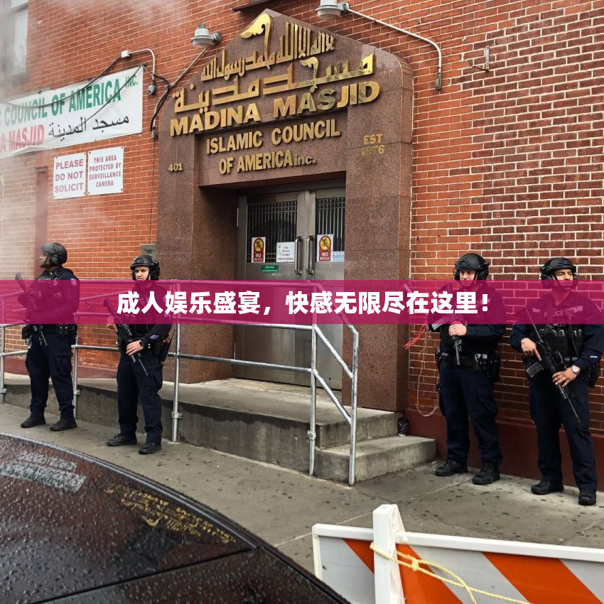 成人娱乐盛宴，快感无限尽在这里！