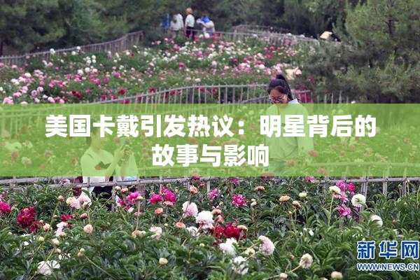 美国卡戴引发热议：明星背后的故事与影响