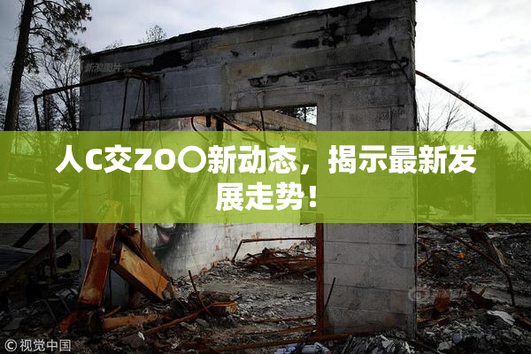人C交ZO〇新动态，揭示最新发展走势！