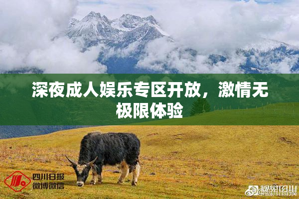 深夜成人娱乐专区开放，激情无极限体验