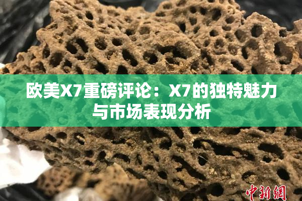 欧美X7重磅评论：X7的独特魅力与市场表现分析