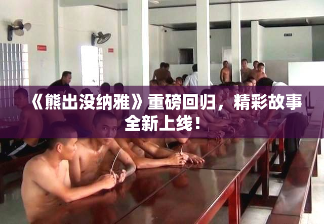 《熊出没纳雅》重磅回归，精彩故事全新上线！