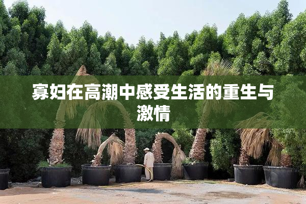 寡妇在高潮中感受生活的重生与激情