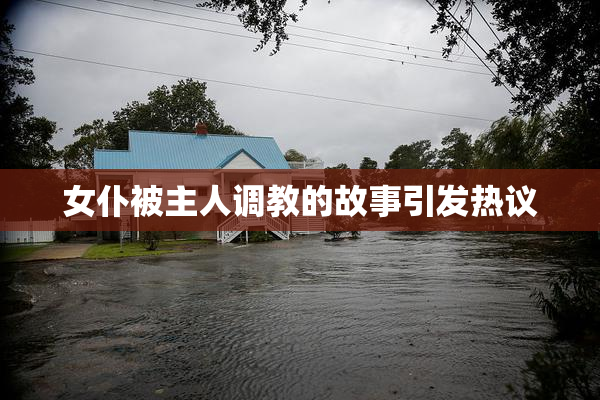 女仆被主人调教的故事引发热议