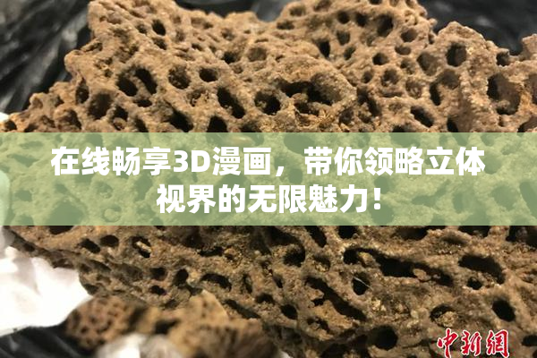 在线畅享3D漫画，带你领略立体视界的无限魅力！