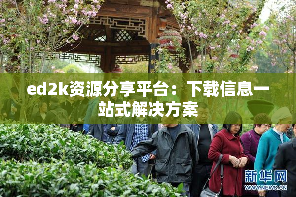 ed2k资源分享平台：下载信息一站式解决方案