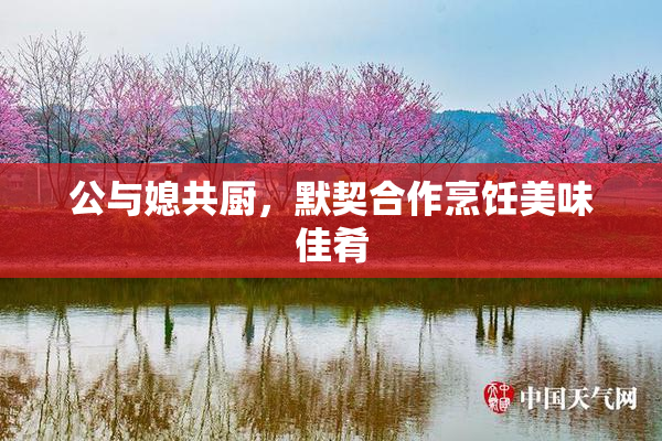 公与媳共厨，默契合作烹饪美味佳肴