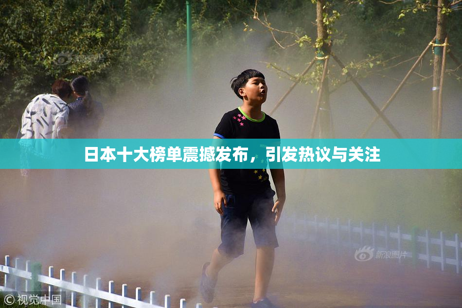日本十大榜单震撼发布，引发热议与关注