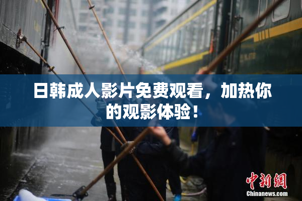 日韩成人影片免费观看，加热你的观影体验！
