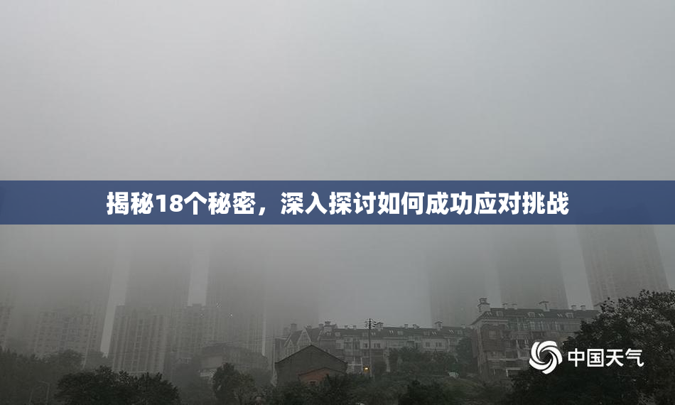 揭秘18个秘密，深入探讨如何成功应对挑战