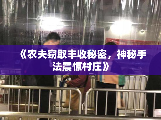 《农夫窃取丰收秘密，神秘手法震惊村庄》