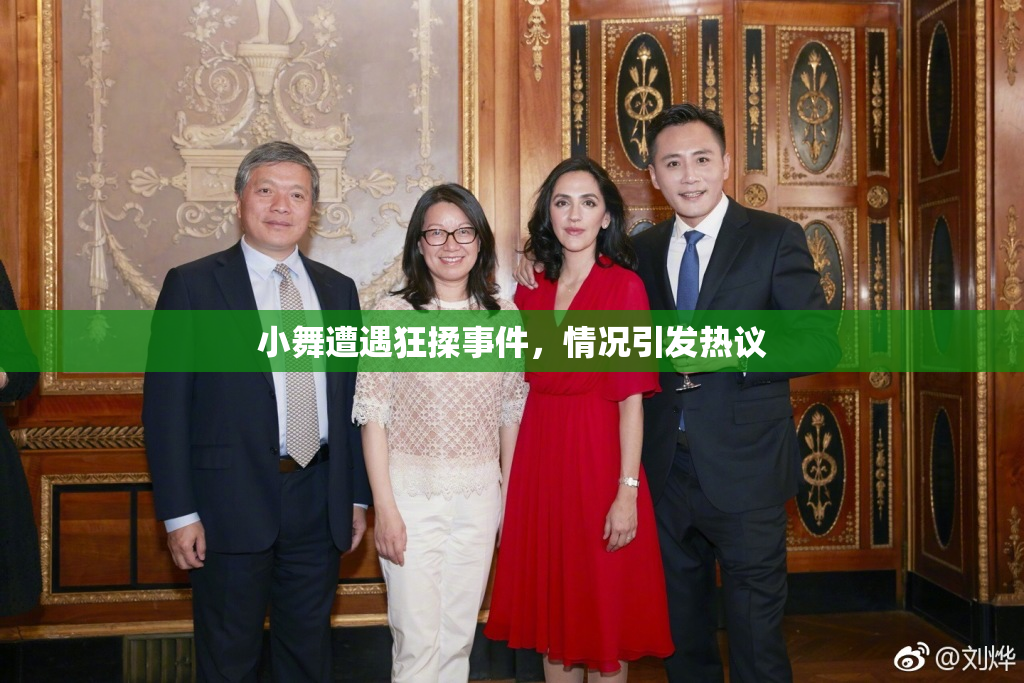 小舞遭遇狂揉事件，情况引发热议