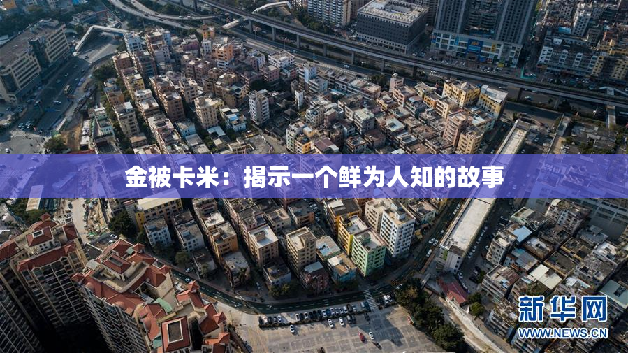 金被卡米：揭示一个鲜为人知的故事
