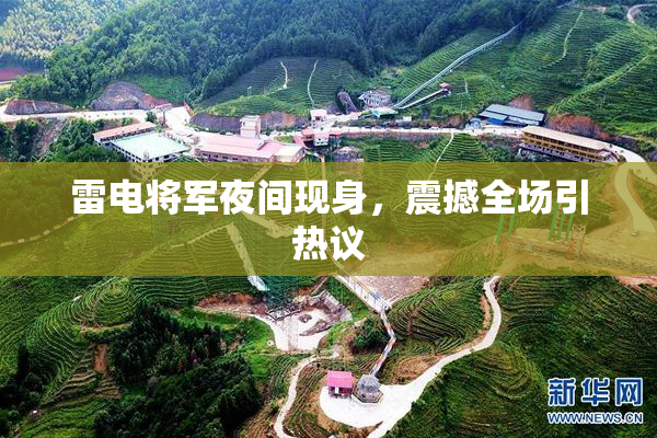 雷电将军夜间现身，震撼全场引热议