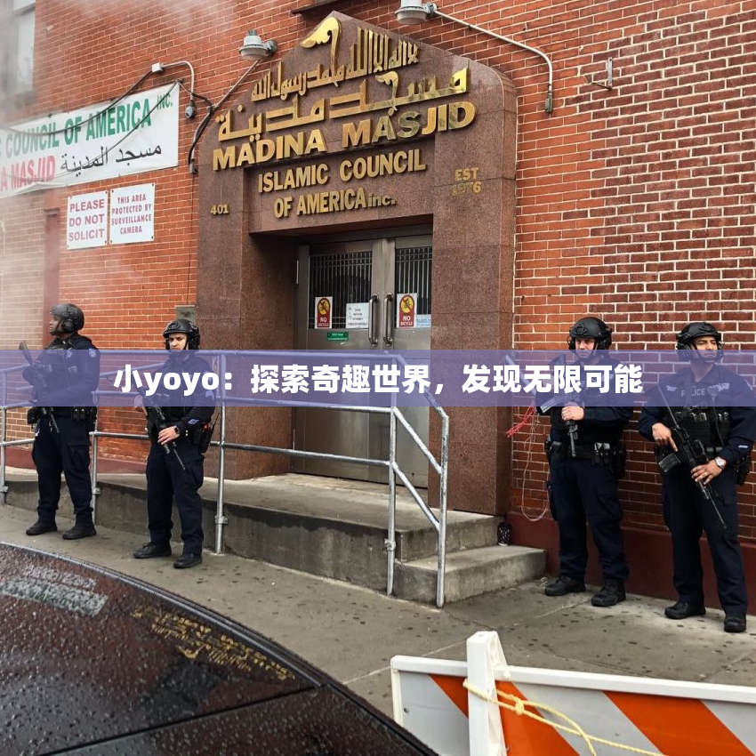 小yoyo：探索奇趣世界，发现无限可能