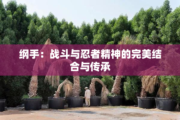 纲手：战斗与忍者精神的完美结合与传承