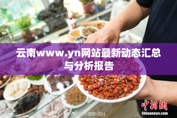 云南www.yn网站最新动态汇总与分析报告