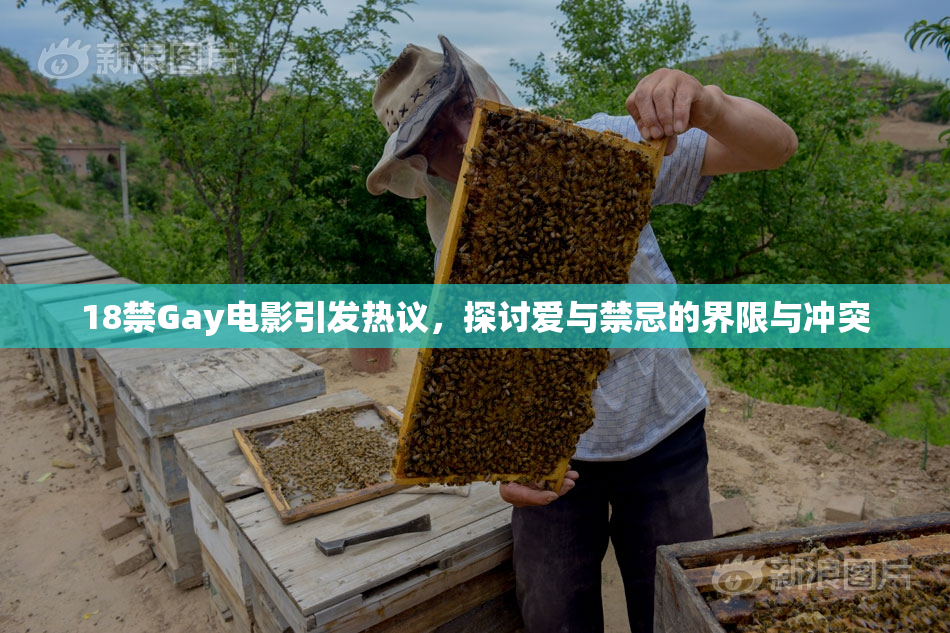 18禁Gay电影引发热议，探讨爱与禁忌的界限与冲突