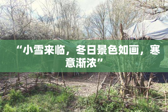 “小雪来临，冬日景色如画，寒意渐浓”