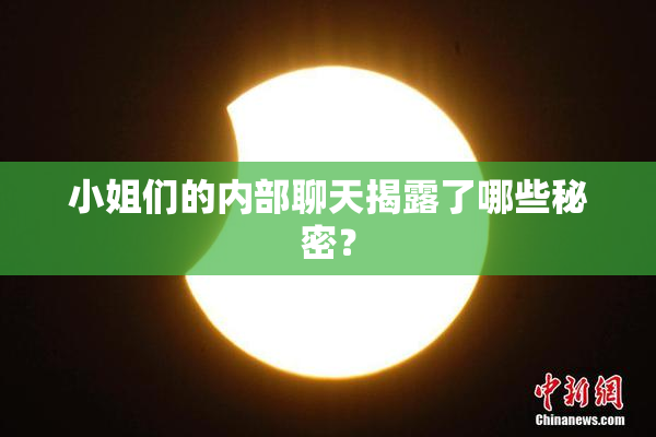 小姐们的内部聊天揭露了哪些秘密？