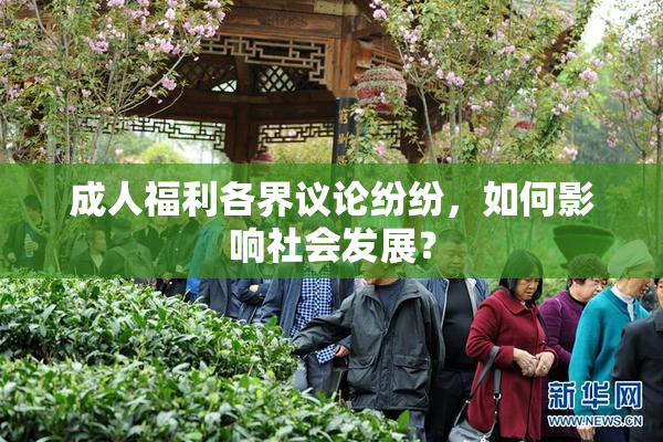 成人福利各界议论纷纷，如何影响社会发展？