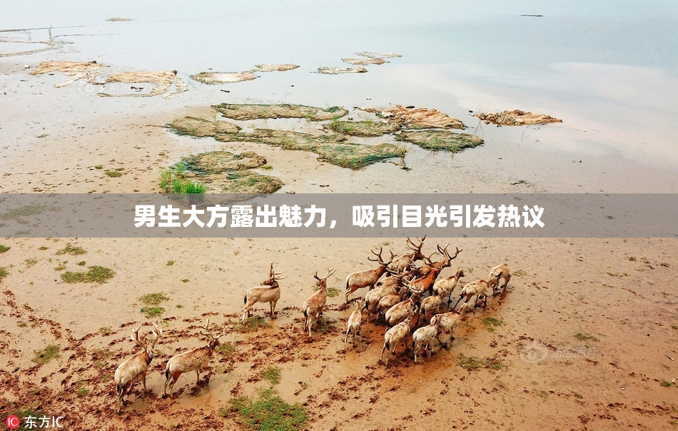 男生大方露出魅力，吸引目光引发热议