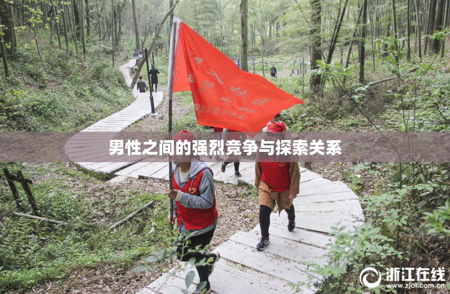 男性之间的强烈竞争与探索关系