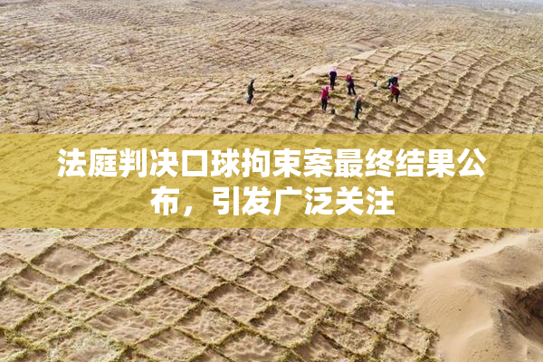 法庭判决口球拘束案最终结果公布，引发广泛关注