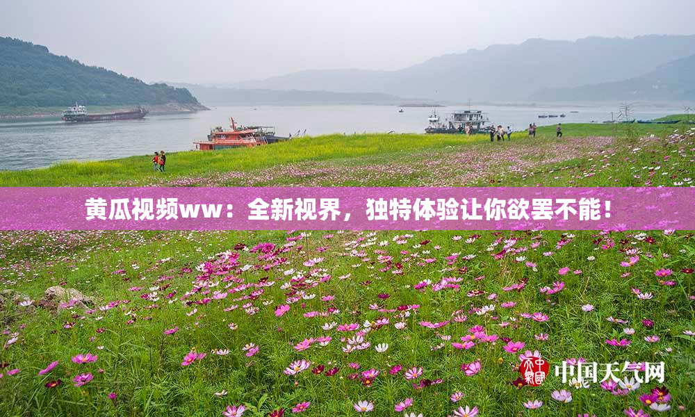 黄瓜视频ww：全新视界，独特体验让你欲罢不能！