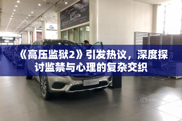 《高压监狱2》引发热议，深度探讨监禁与心理的复杂交织