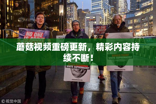 蘑菇视频重磅更新，精彩内容持续不断！