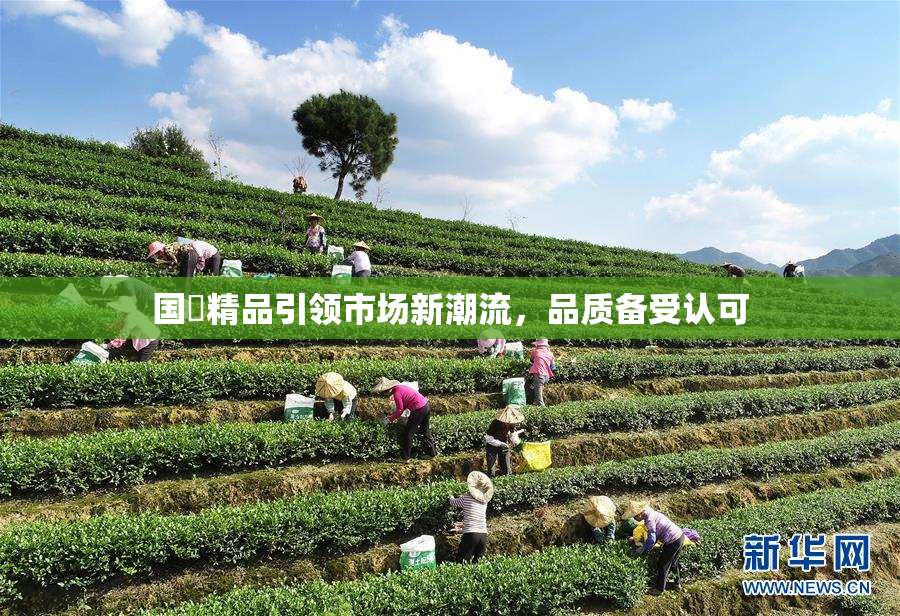 国產精品引领市场新潮流，品质备受认可