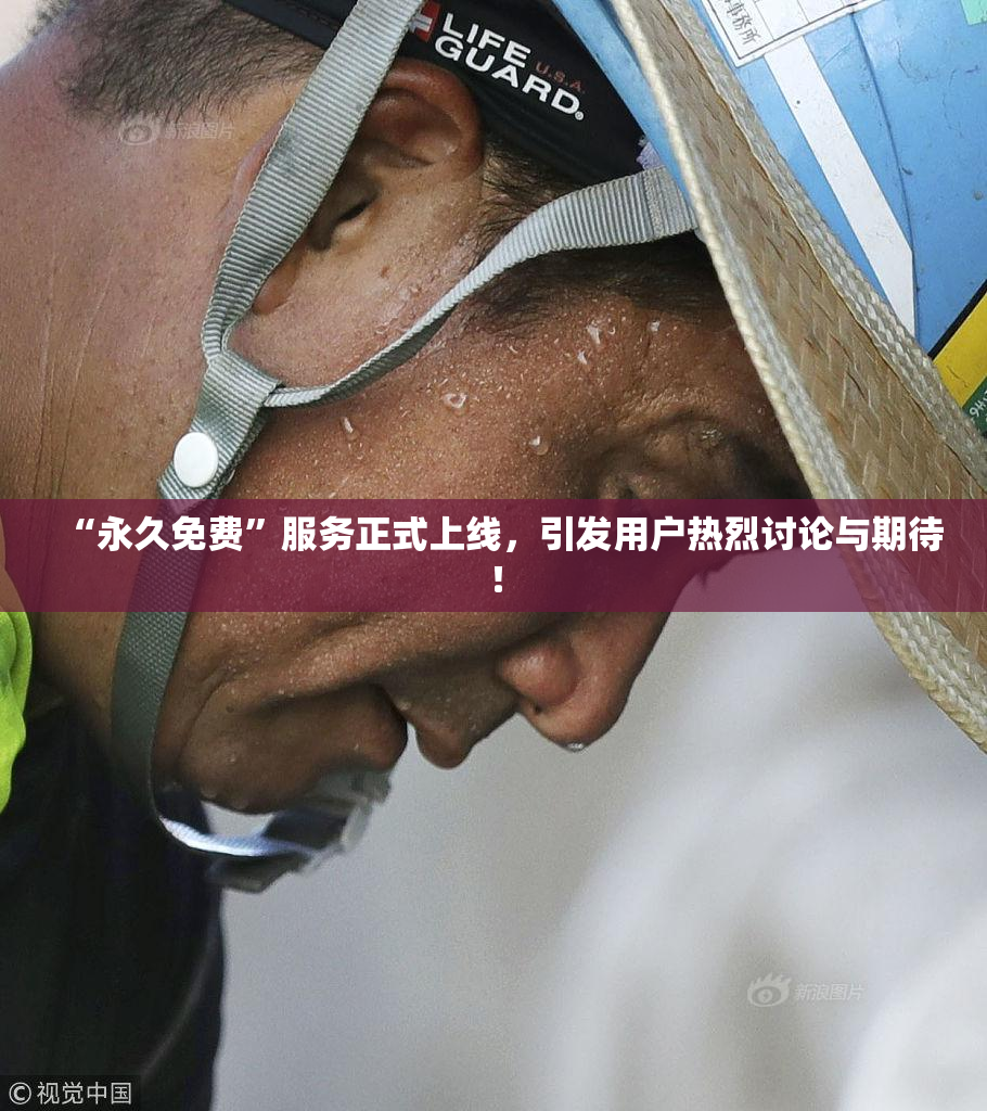 “永久免费”服务正式上线，引发用户热烈讨论与期待！