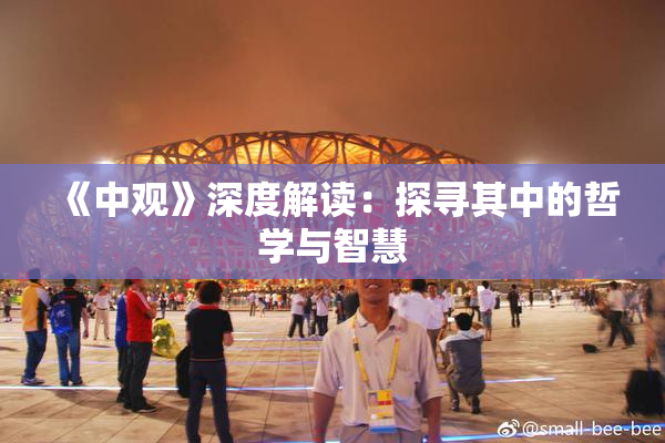 《中观》深度解读：探寻其中的哲学与智慧