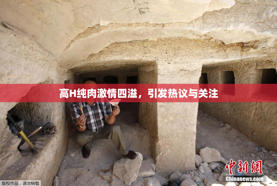 高H纯肉激情四溢，引发热议与关注