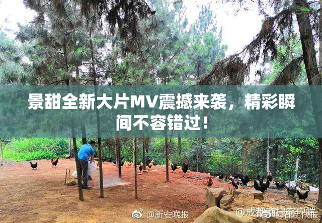 景甜全新大片MV震撼来袭，精彩瞬间不容错过！