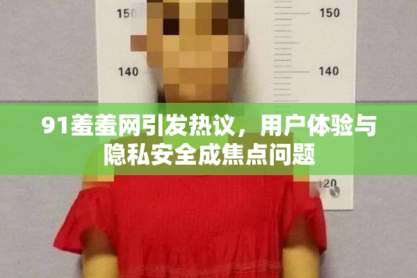 91羞羞网引发热议，用户体验与隐私安全成焦点问题