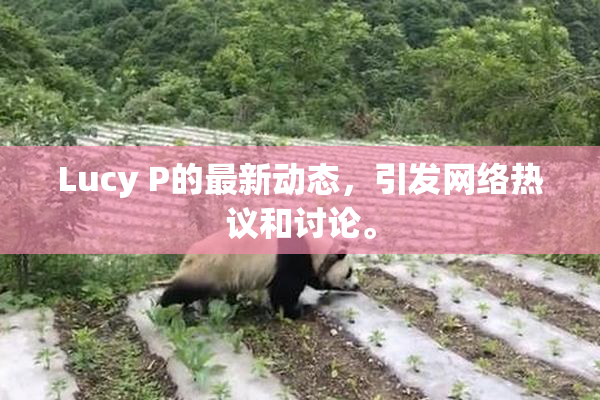 Lucy P的最新动态，引发网络热议和讨论。